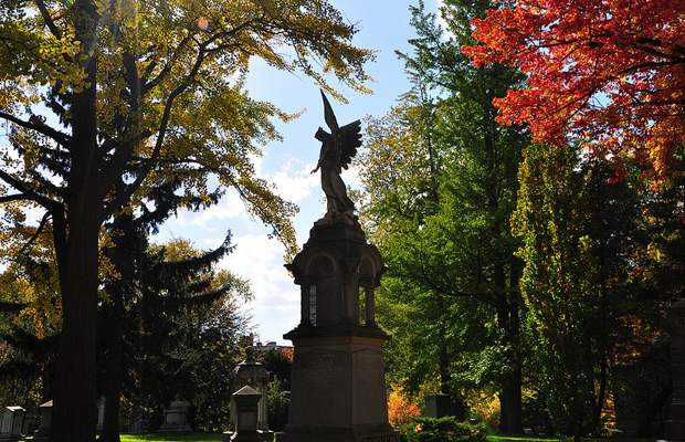 Would you buy a home beside a cemetery?